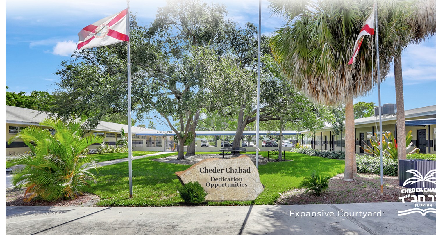 Expansive courtyard at the new campus